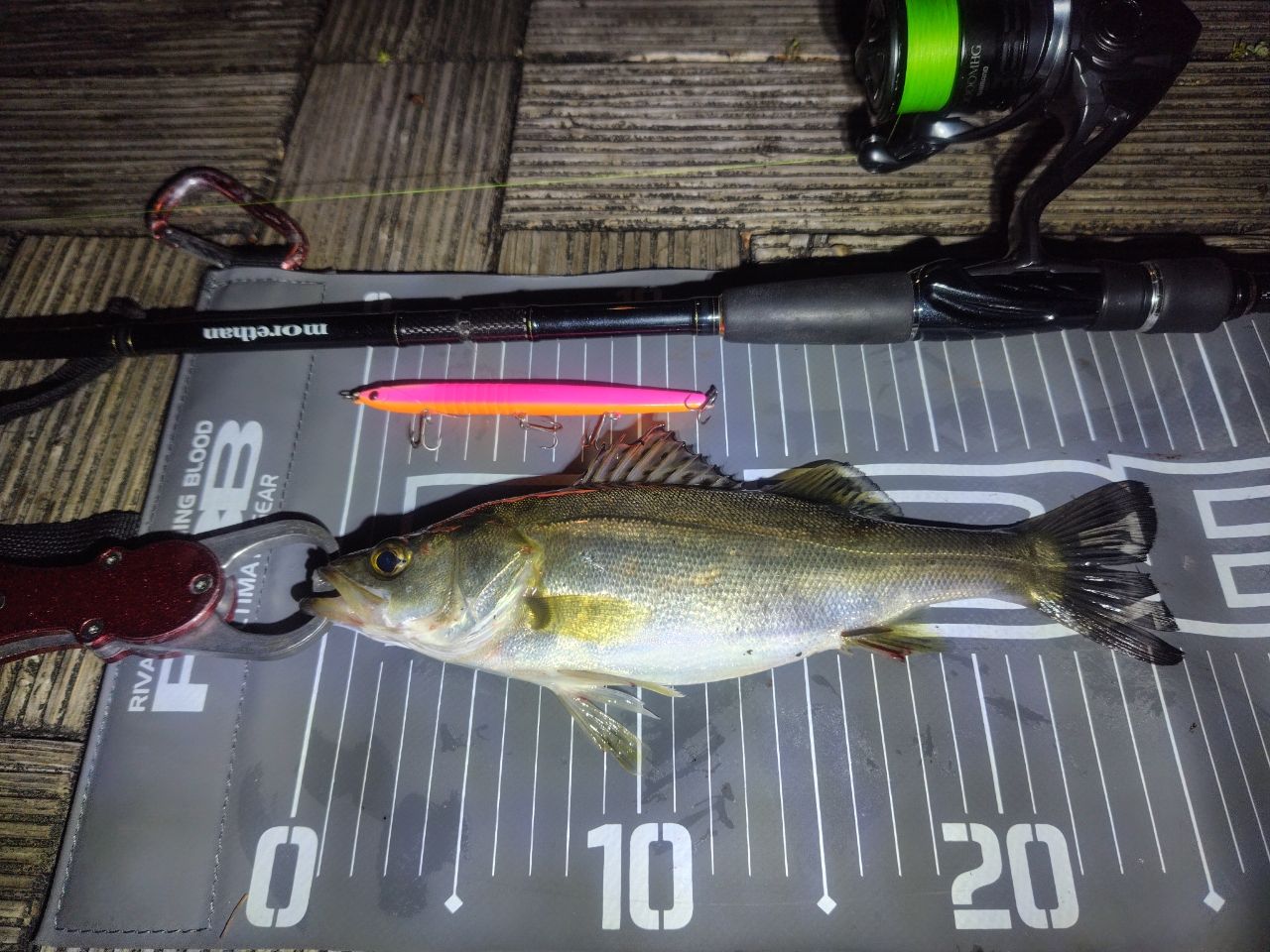DAIWA 15モアザン モバイル 87MLS-5の最安値・インプレ・釣果 | 本音の
