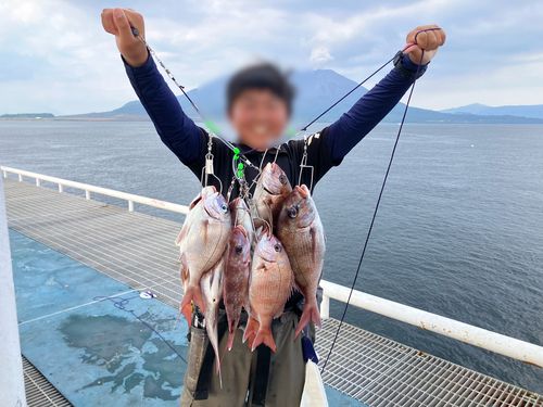 タイの釣果