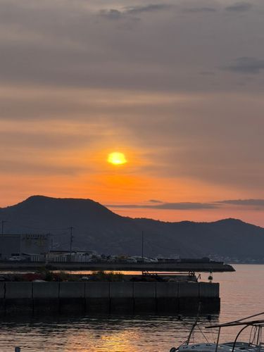 タイの釣果