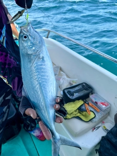 シマアジの釣果