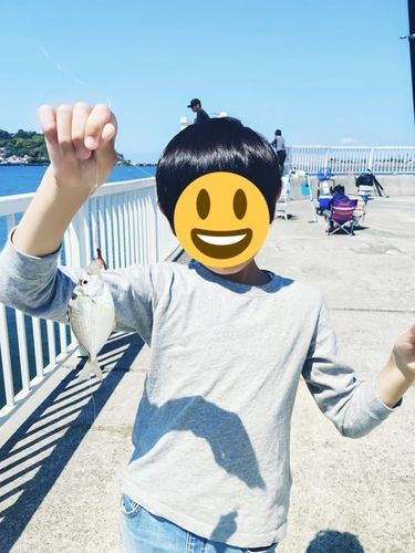 ヒイラギの釣果