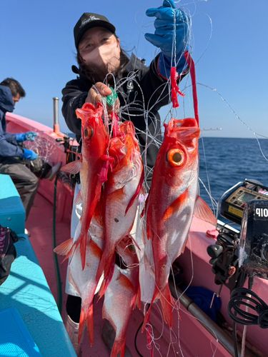 キンメダイの釣果