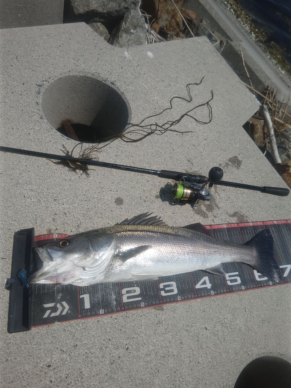 DAIWA 22HRF® (ハードロックフィッシュ) 86M・Qの最安値・インプレ