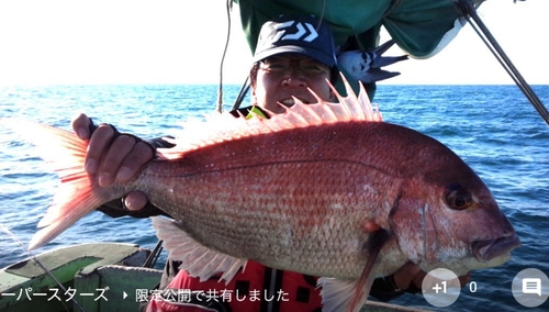 マダイの釣果