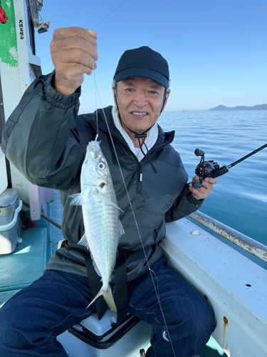 マルアジの釣果