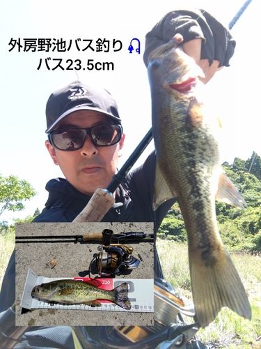 ブラックバスの釣果