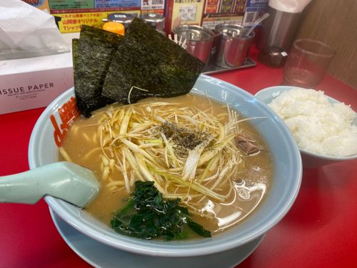 レインボートラウトの釣果