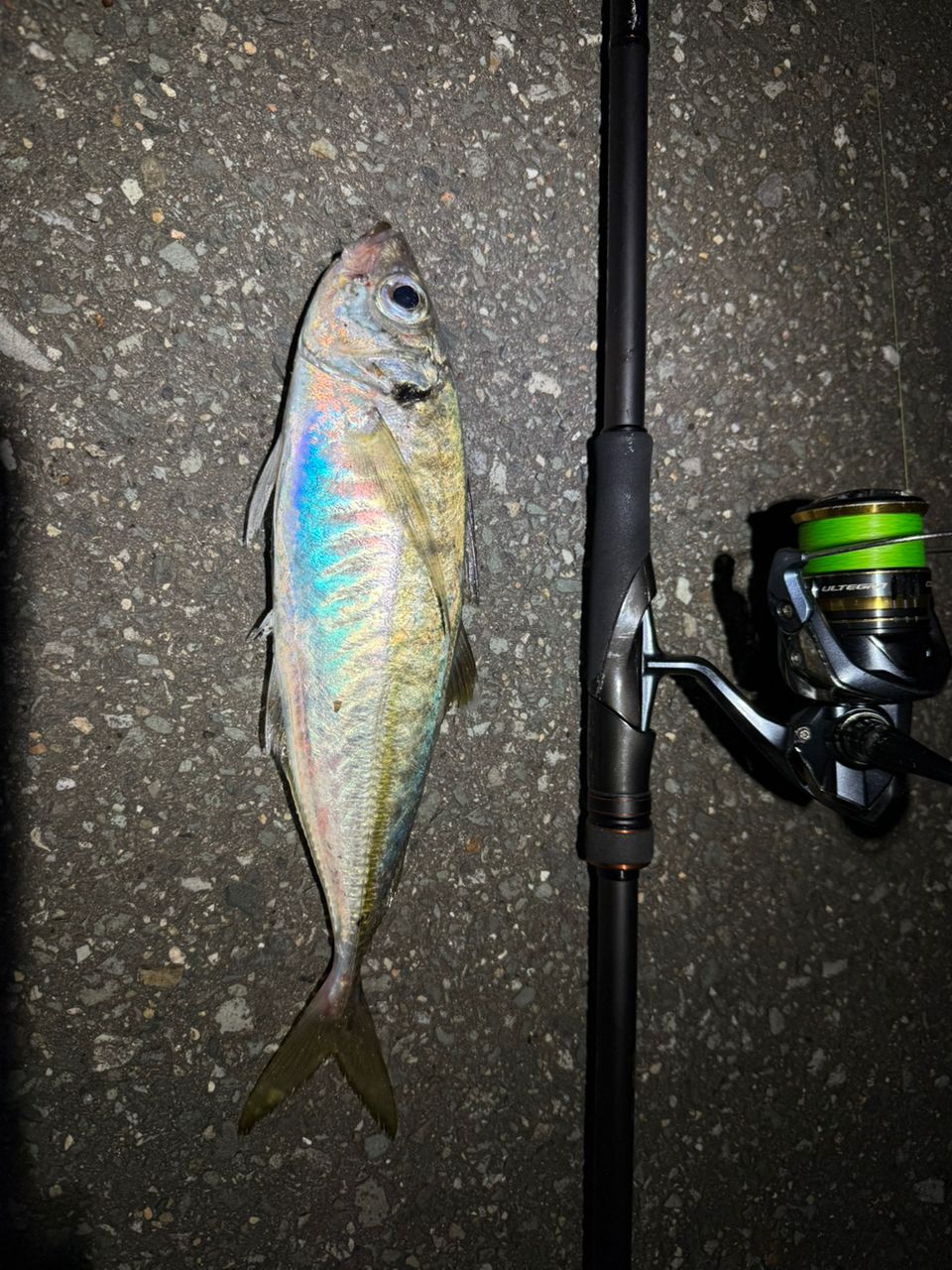 SHIMANO 22ハードロッカー SS S910H-3の最安値・インプレ・釣果 | 本音