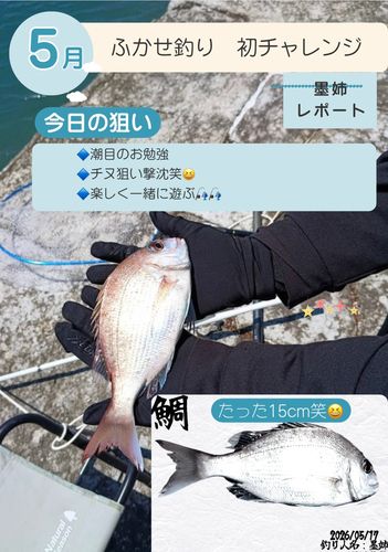 タイの釣果