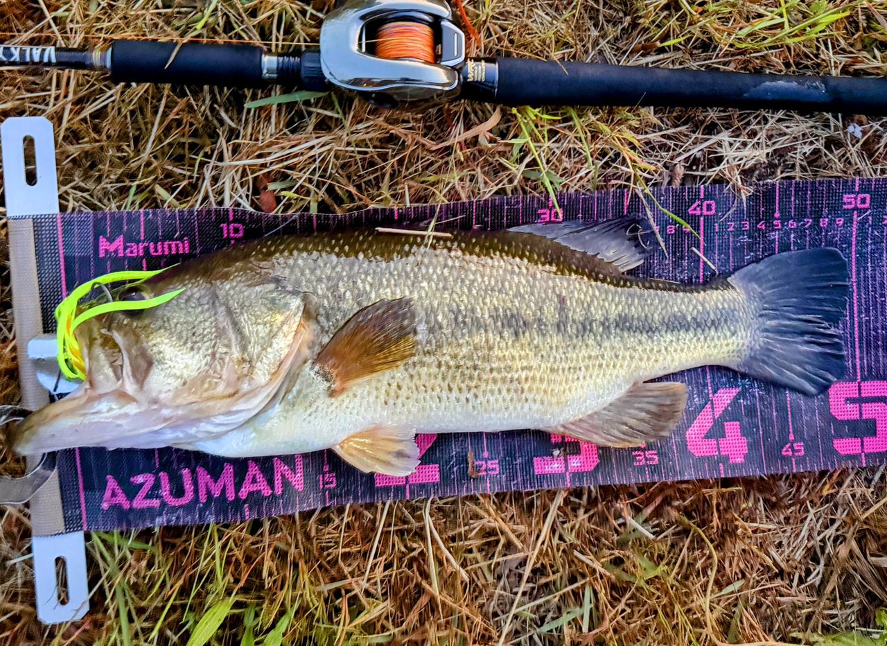 Megabass ヴァルキリーワールドエクスペディション VKC-61XHの最安値