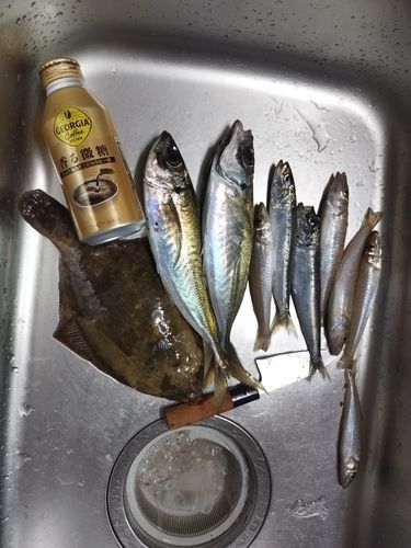釣果
