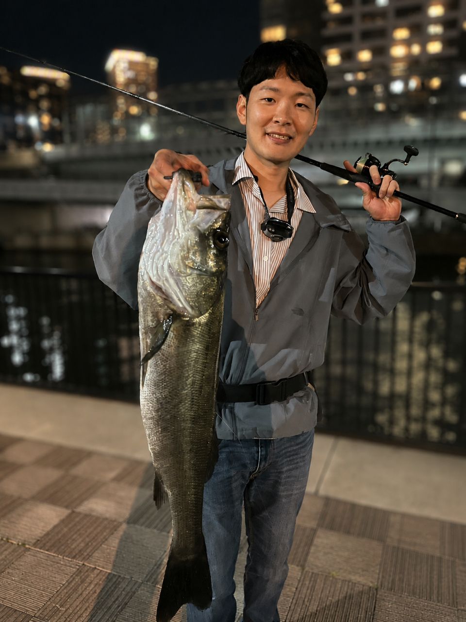 DAIWA 20ラテオ モバイル 90ML-4の最安値・インプレ・釣果 | 本音の