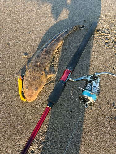釣果