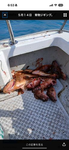 釣果