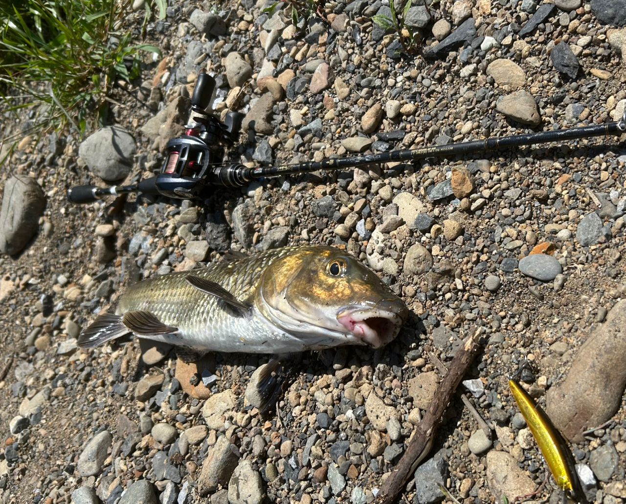 AbuGarcia クロスフィールド XRFC-654ML-BF-MBの最安値・インプレ