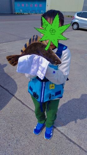 カワガレイの釣果