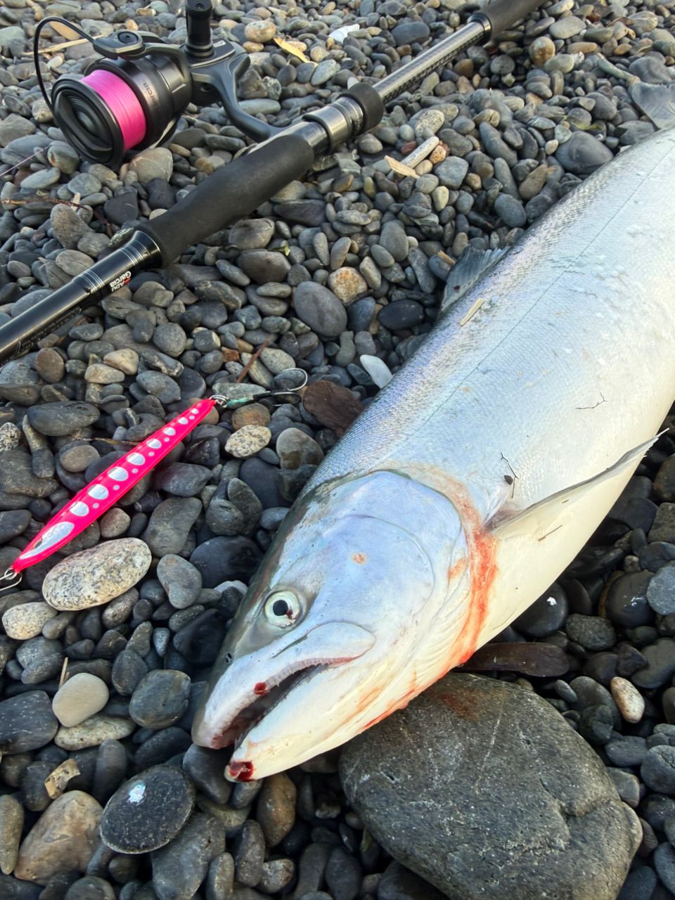 AbuGarcia トラウティンマーキス ノーザンカスタム TNCS-108M-TZの最