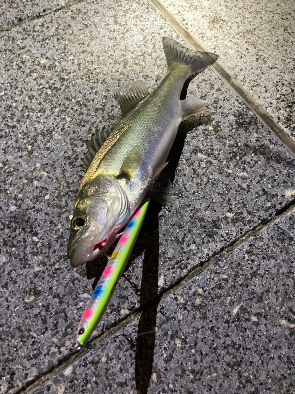 SHIMANO 20ルアーマチック MB S86ML-4の最安値・インプレ・釣果 | 本音