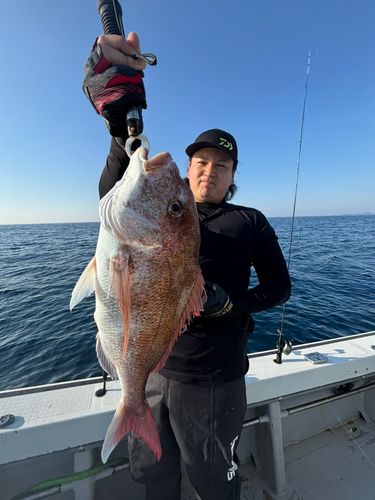 タイの釣果