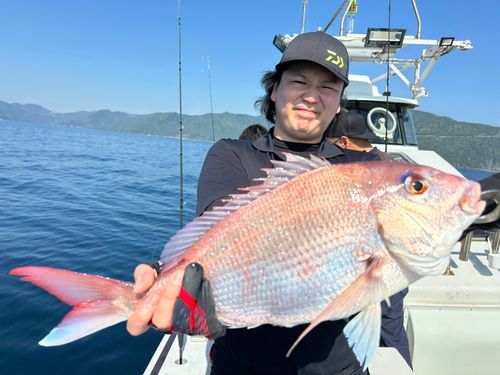 タイの釣果