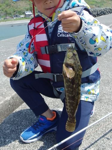 ハゴトコの釣果