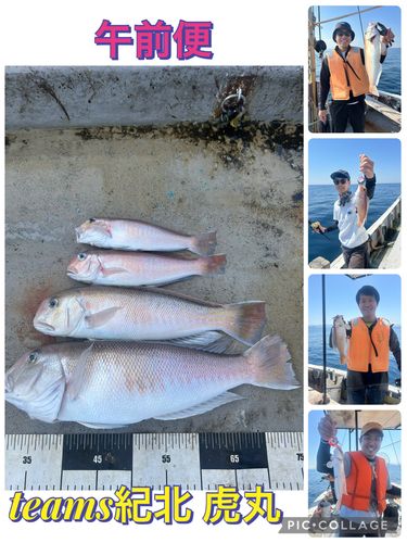 シロアマダイの釣果
