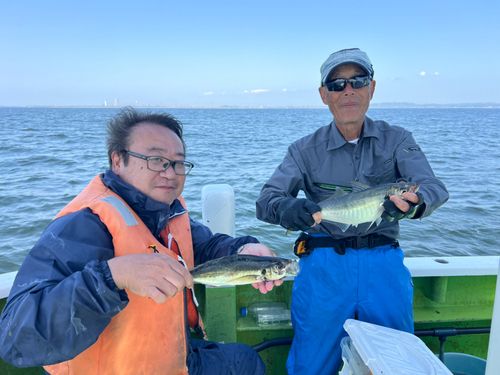 マアジの釣果