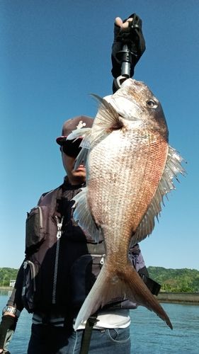 タイの釣果