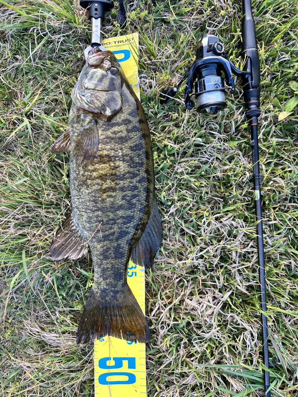 SHIMANO 18ポイズン アドレナ 2610UL/Mの最安値・インプレ・釣果