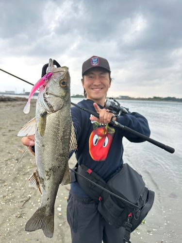 とりあえずvjの人さんの2026年05月03日(日)の釣行(三重県 - 五十鈴川