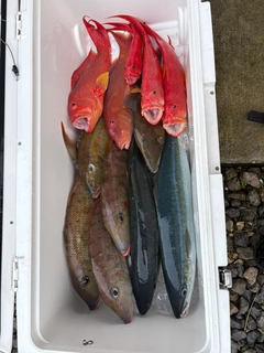 釣果