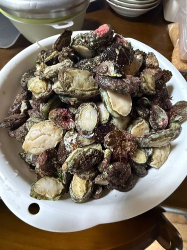 釣果