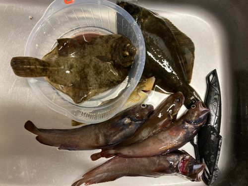釣果