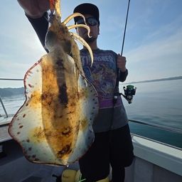 たくちゃん0180さんの2026年05月19日(火)の釣行(三重県 - 三重県志摩市