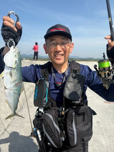 イナダの釣果
