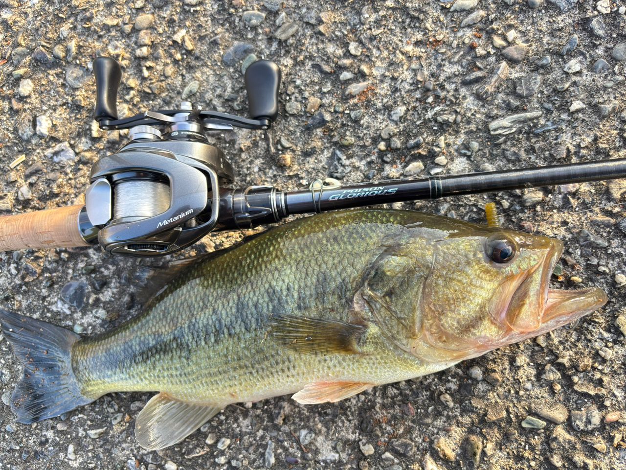 SHIMANO 21ポイズングロリアス 1610MHの最安値・インプレ・釣果 | 本音