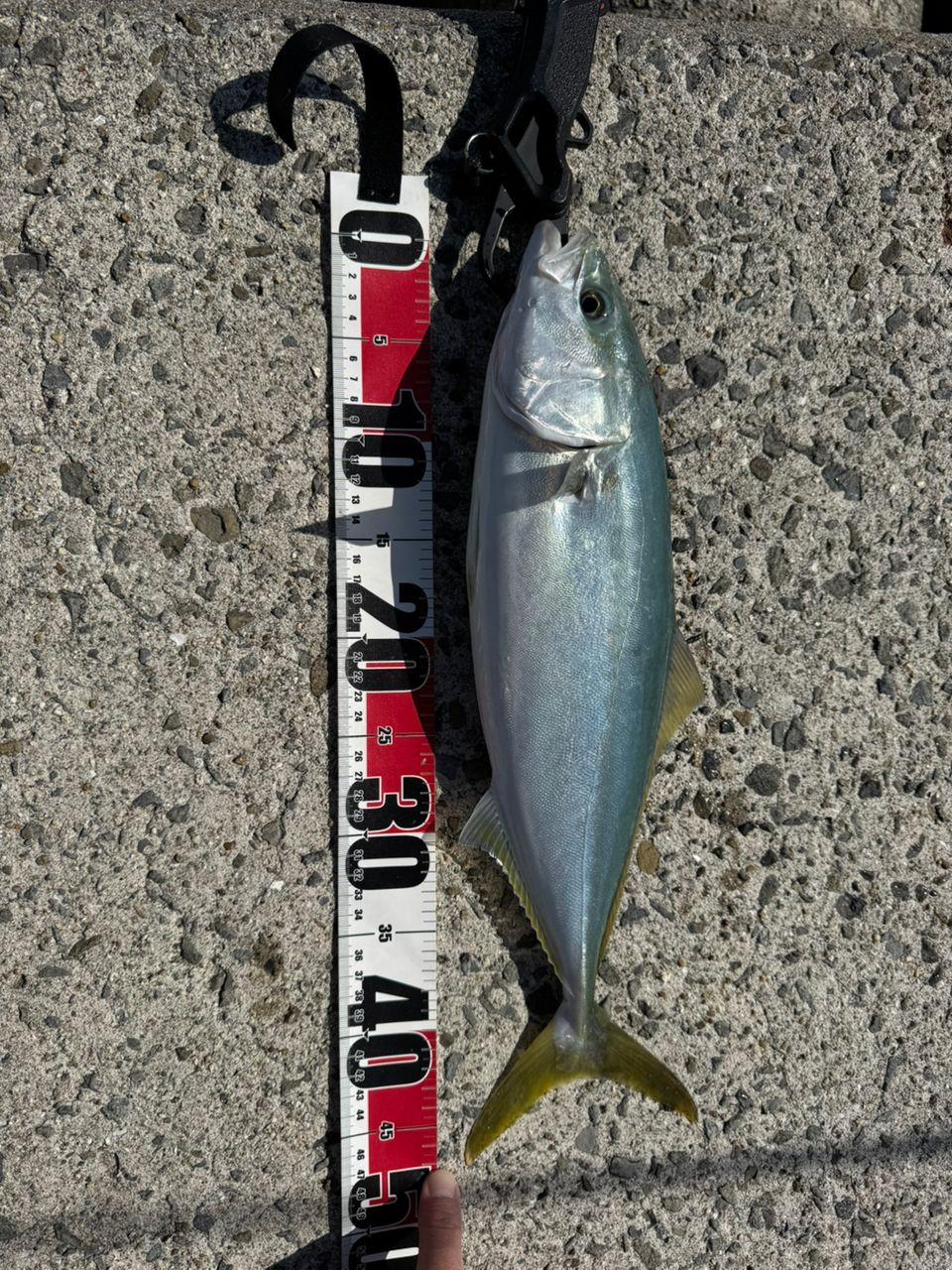 DAIWA 20オーバーゼア エア 1010M/MHの最安値・インプレ・釣果 | 本音