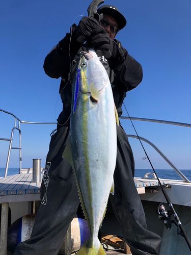 ワラサの釣果
