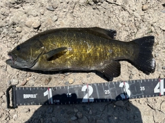 スモールマウスバスの釣果