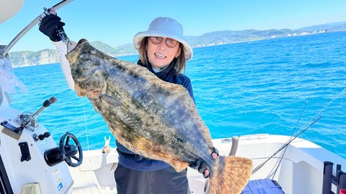 ヒラメの釣果