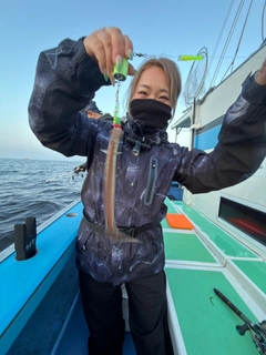 マアナゴの釣果
