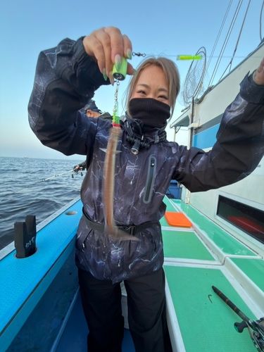マアナゴの釣果