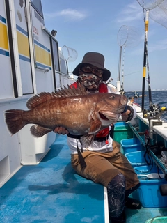 マハタの釣果