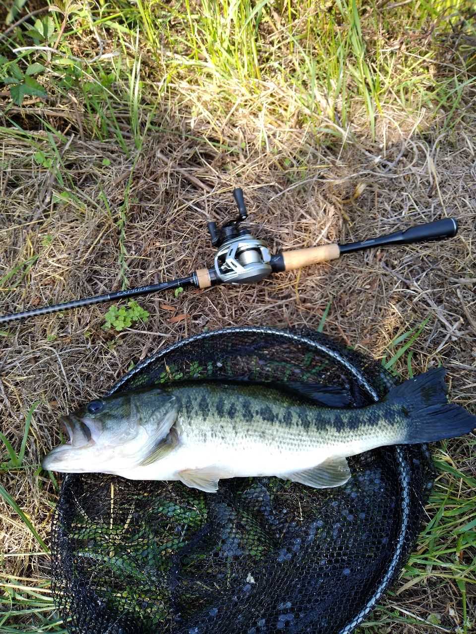 DAIWA 20アルファス SV TW 800XHの最安値・インプレ・釣果 | 本音の