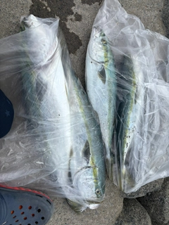 釣果