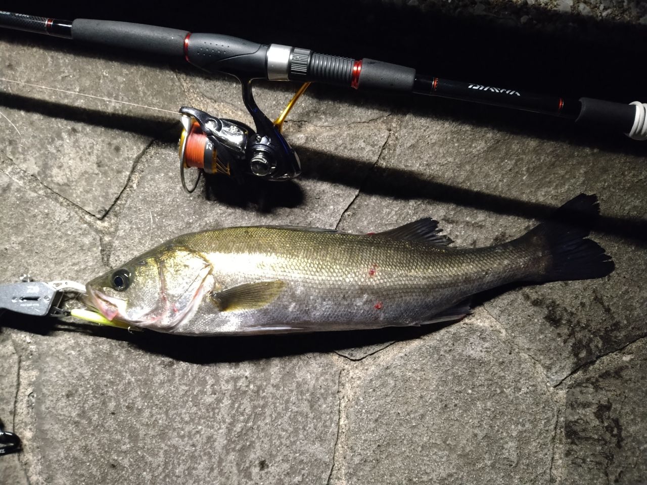 DAIWA 21シーバスハンター X 90ML・Rの最安値・インプレ・釣果 | 本音