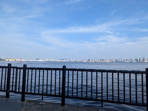 マハゼの釣果