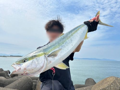 ワラサの釣果