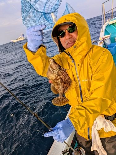 カワハギの釣果