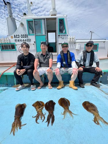 アオリイカの釣果